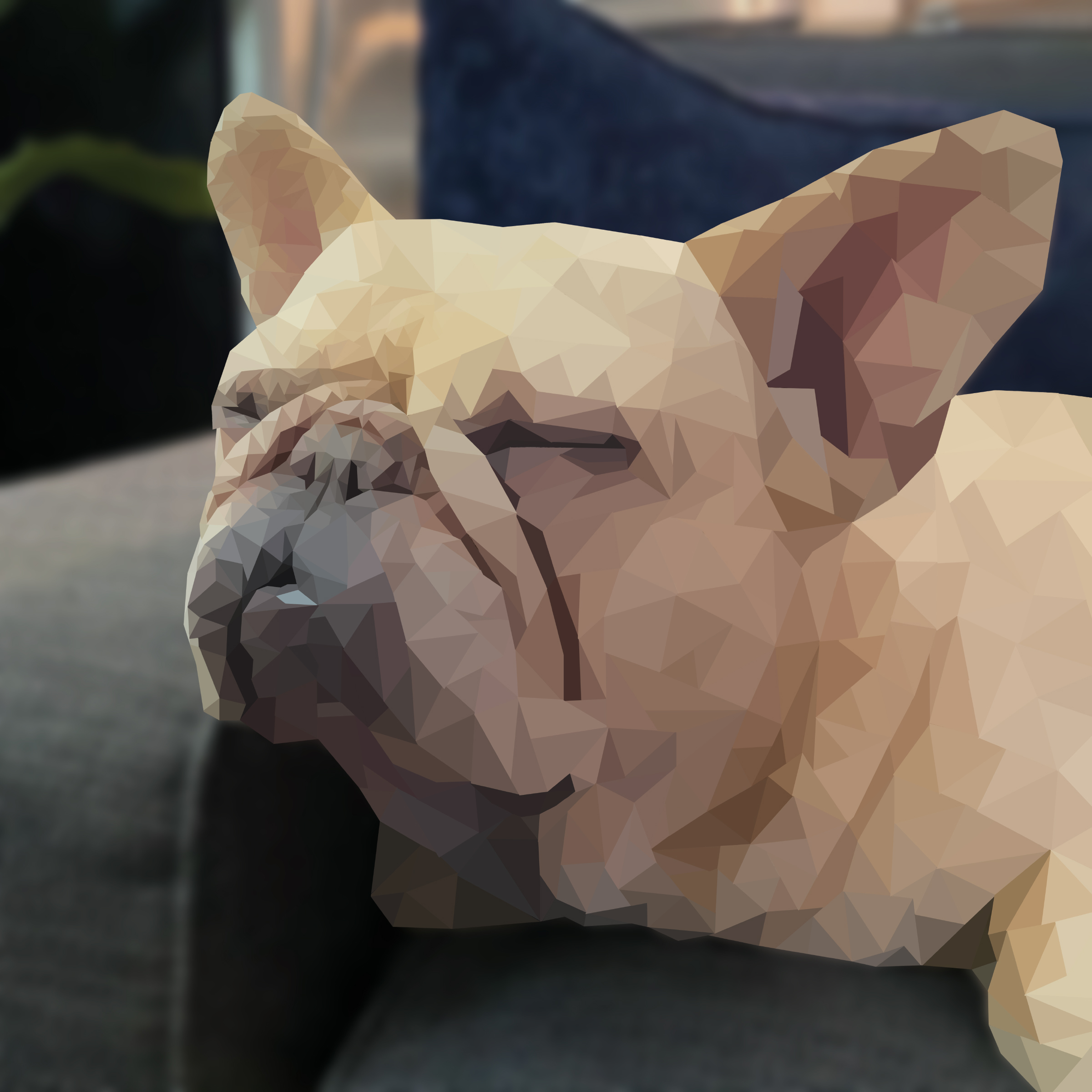 Poly Dog Project Image